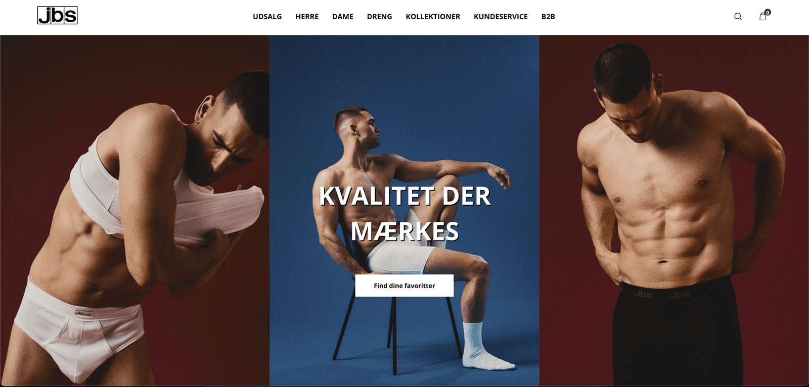 JBS elbdampf Shopify ecommerce store with Amazon and ERP integration architecture